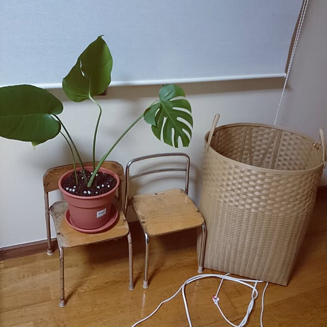 Riyoさんの実例写真