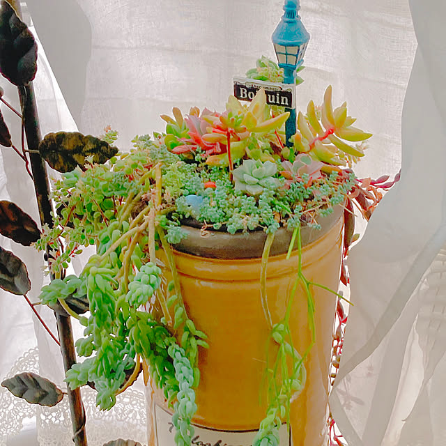 Hanakaさんの部屋
