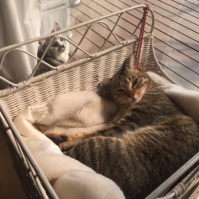 yuki0511さんの実例写真