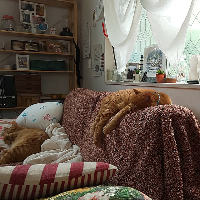37さんの実例写真
