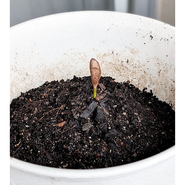 ToReTaRiさんの部屋