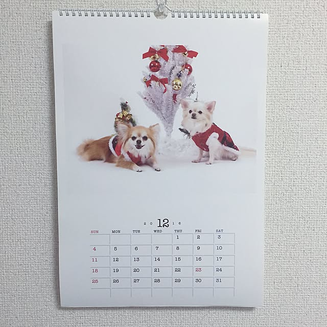 nappu_uさんの実例写真