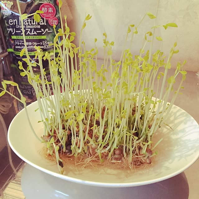 megさんの実例写真