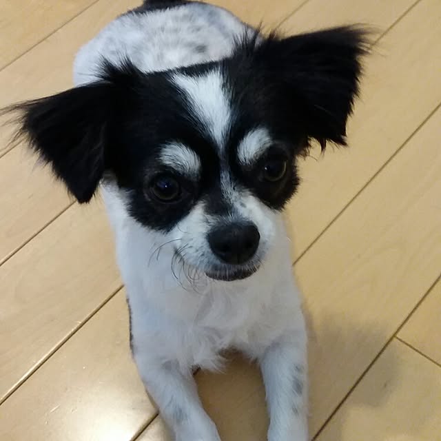 yukkoさんの実例写真