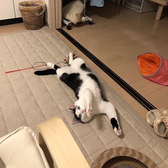 k.Iさんの実例写真