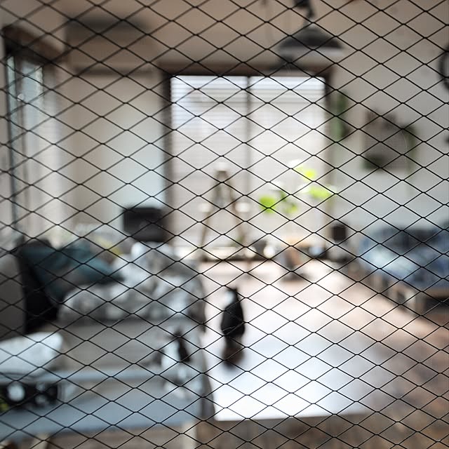 katsuwobushiさんの実例写真