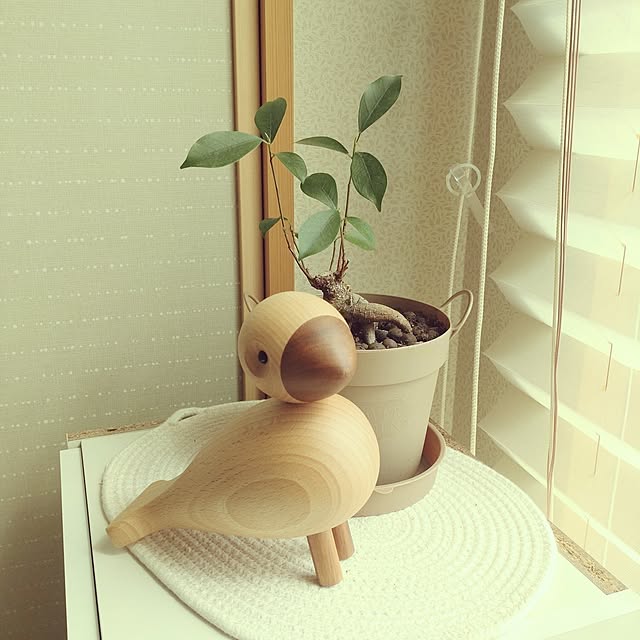 tan5さんの実例写真