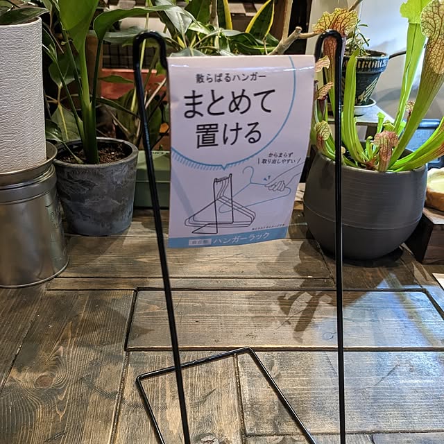 GINさんの実例写真