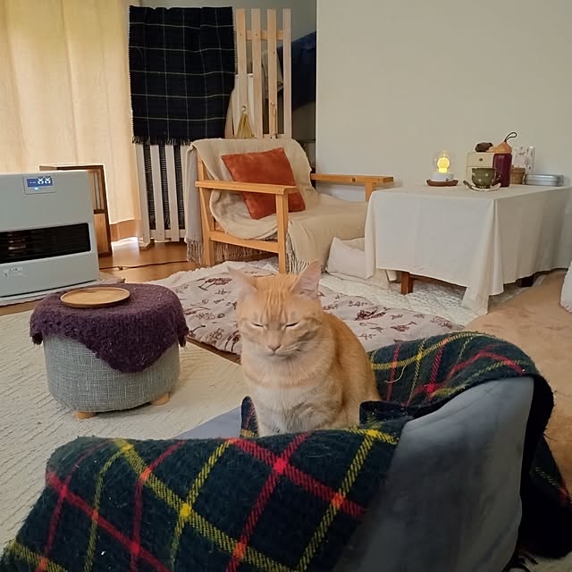 mayutan.さんの実例写真