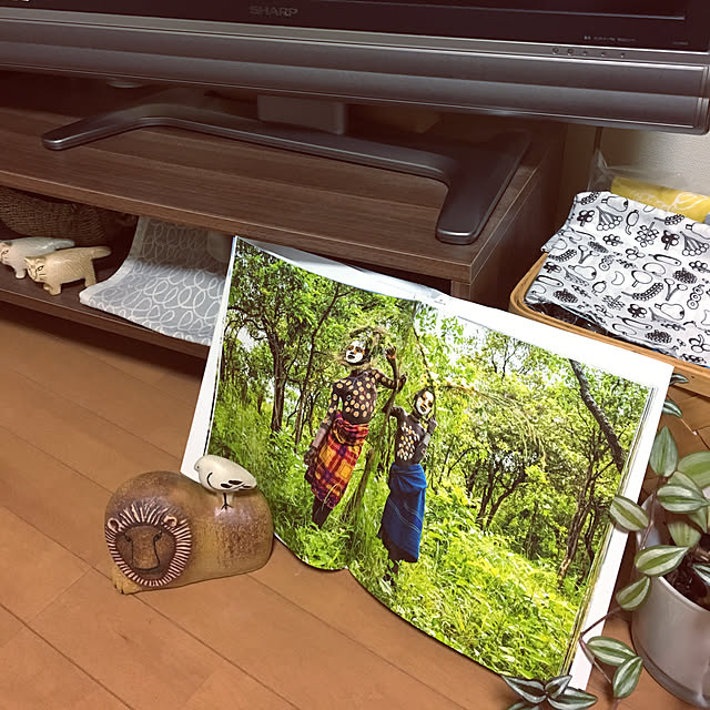 juboccoさんの実例写真