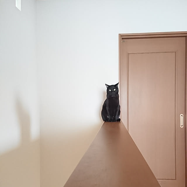 maikyさんの実例写真