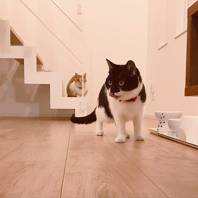Yさんの実例写真