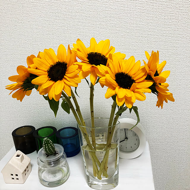 Negiさんの実例写真