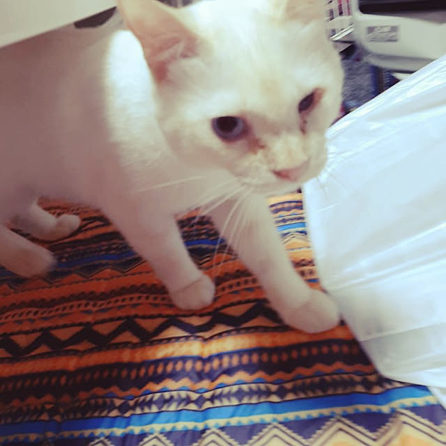 Yさんの実例写真