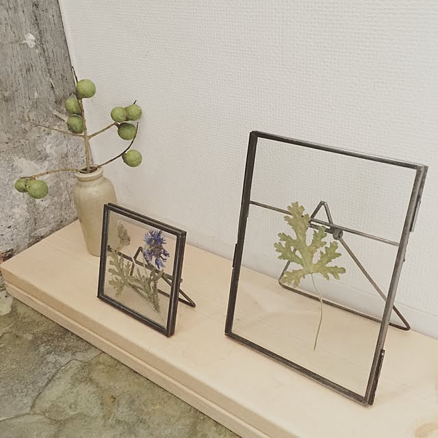 sakanakunさんの実例写真