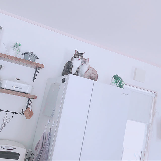 milkcocoaさんの実例写真