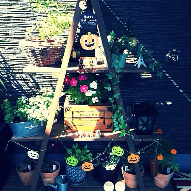 takkさんの実例写真