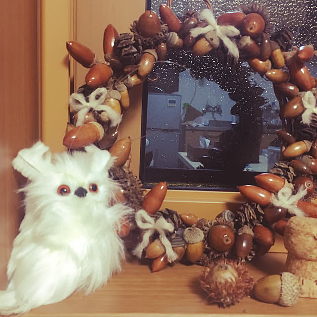 sheepさんの実例写真