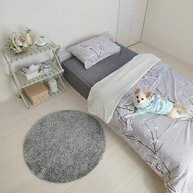 PAOさんの部屋