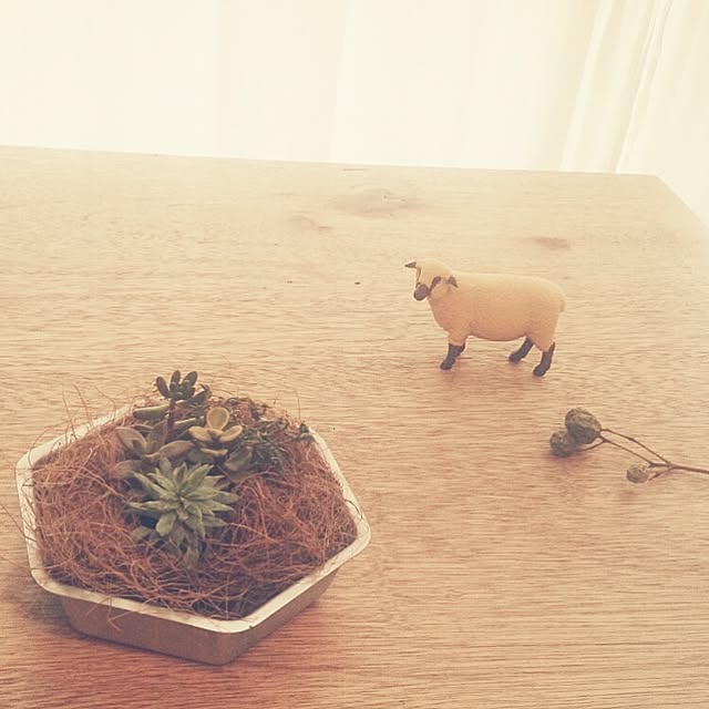 oriさんの実例写真