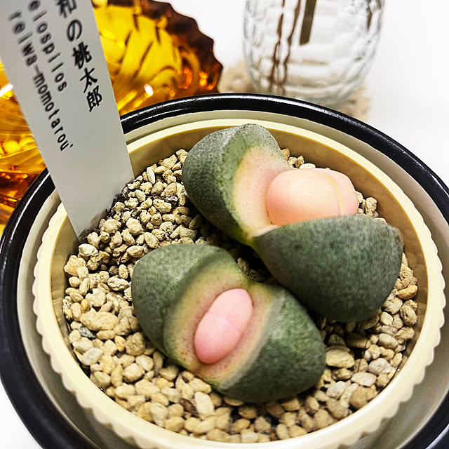 mamanさんの実例写真