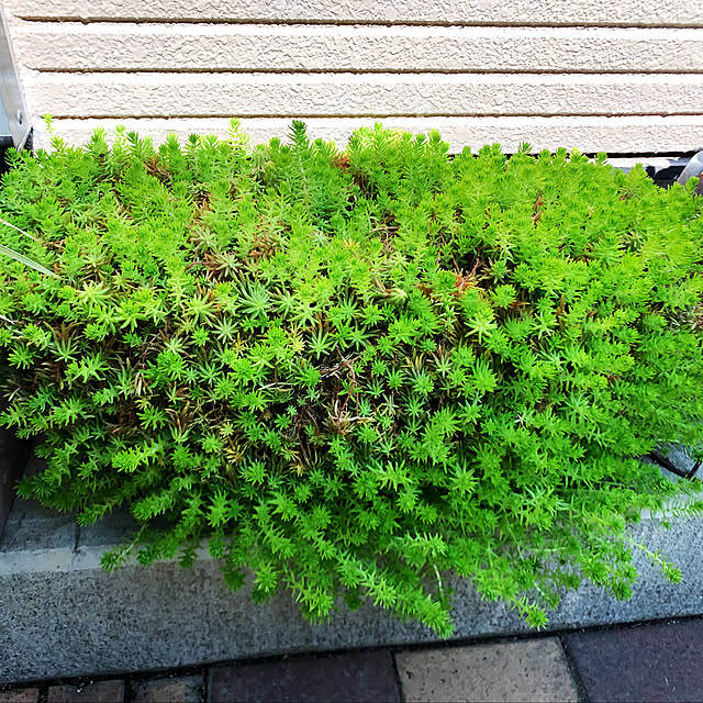 KYONさんの部屋