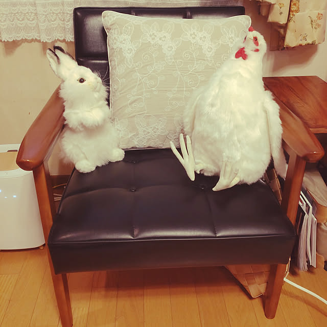 Hujikoさんの実例写真