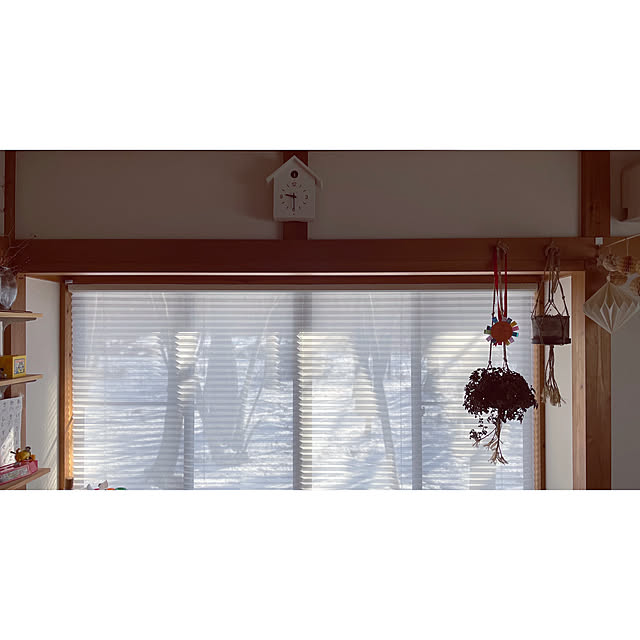 marucoさんの実例写真