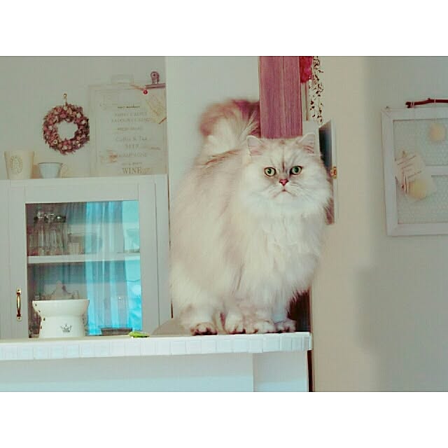 marikoさんの実例写真