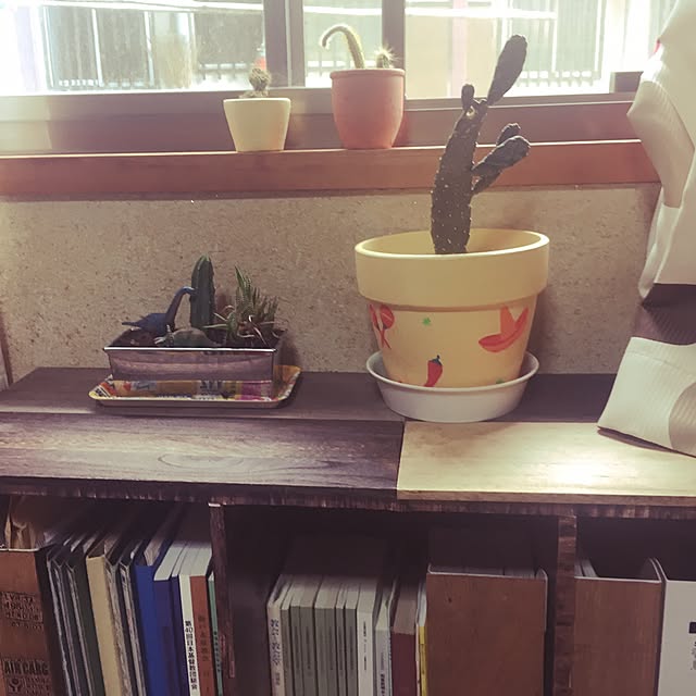 chauさんの実例写真
