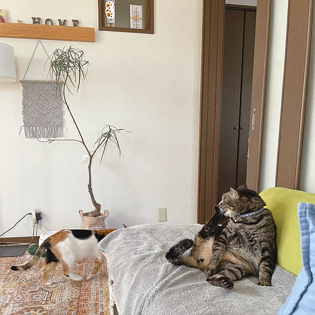 Dさんの実例写真