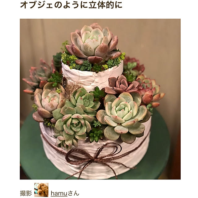 hamuさんの実例写真