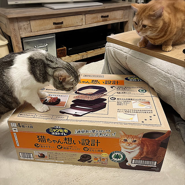 Atelier.mさんの実例写真