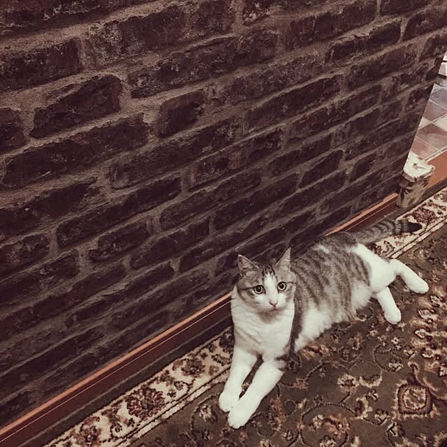 emmyyさんの実例写真