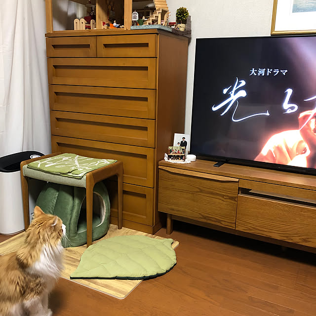 uchidaizuさんの実例写真