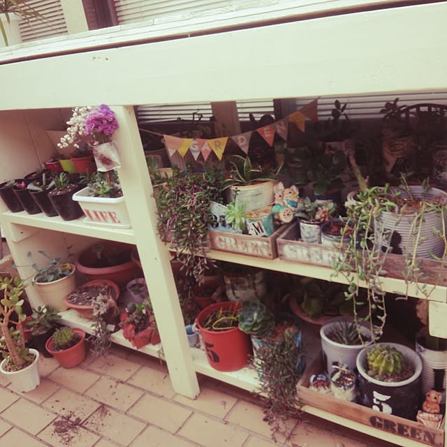 shs1019shsさんの実例写真