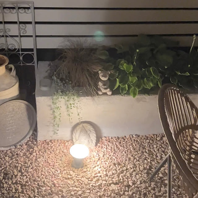 hamuさんの部屋