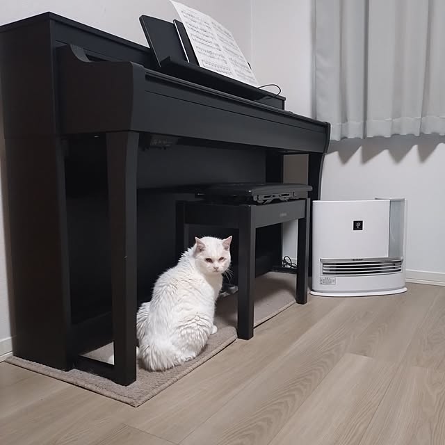 NOAHさんの実例写真