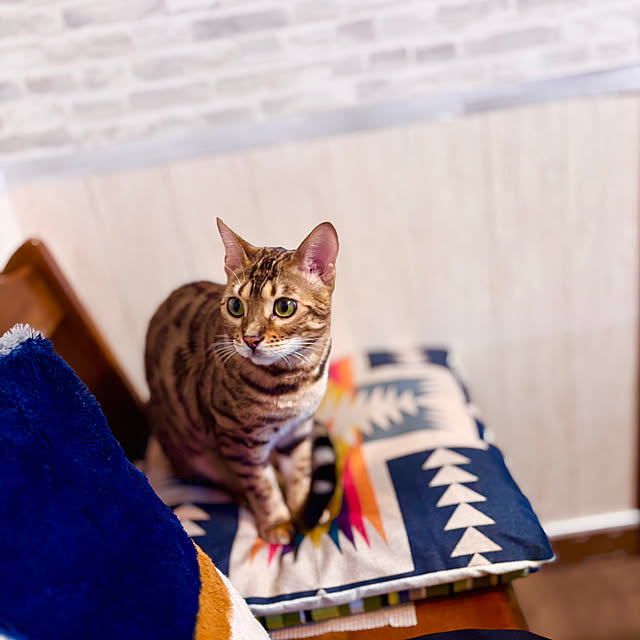 tututu0204さんの部屋