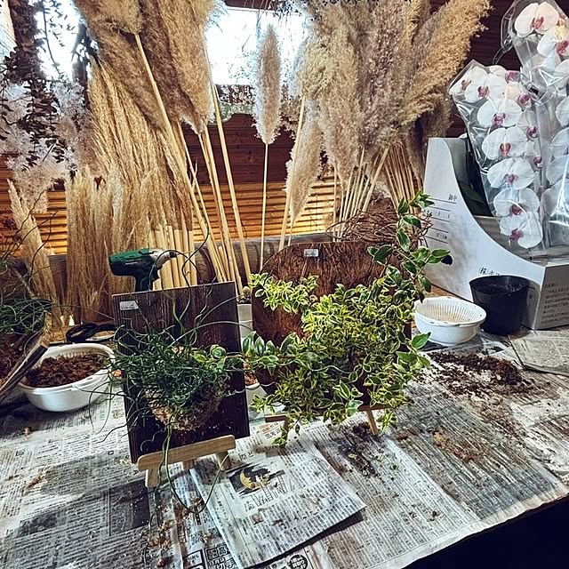 awadu-1970さんの部屋