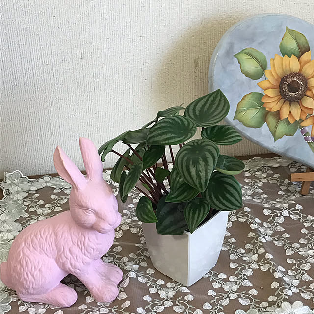 yukarinさんの実例写真