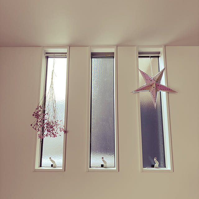 onionさんの実例写真