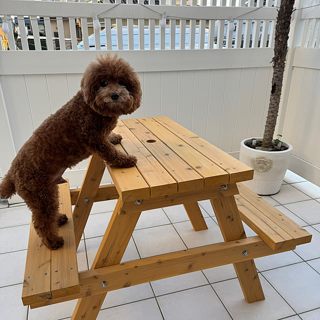 michimichiさんの実例写真