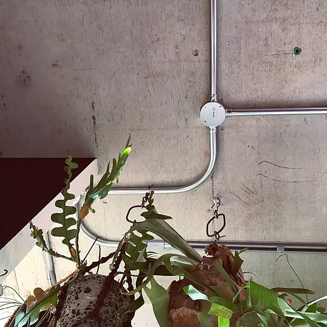 marshさんの実例写真