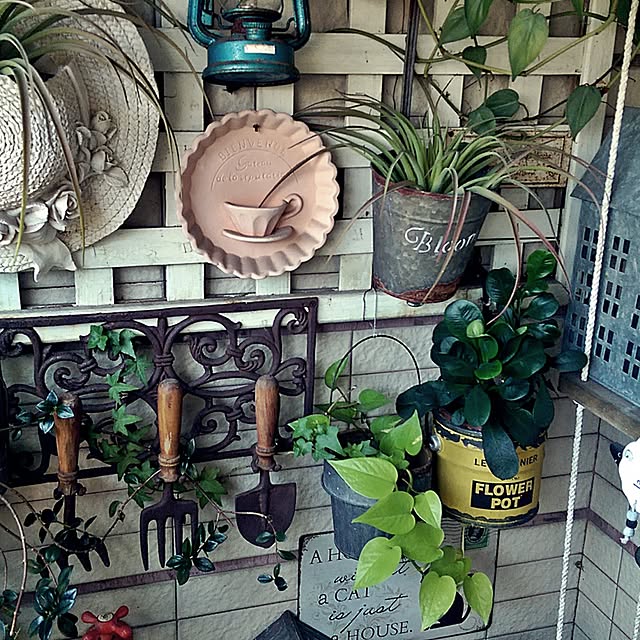 dreanさんの実例写真