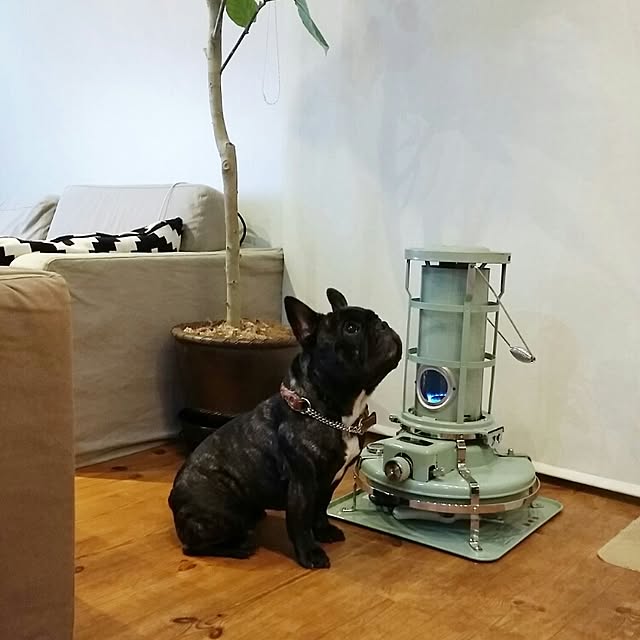 kuuuuさんの実例写真