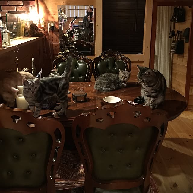 nopezさんの実例写真