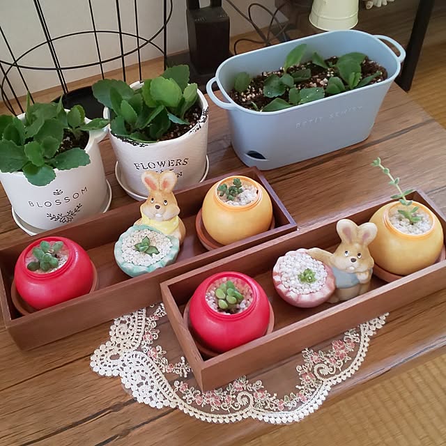 yumiyumiさんの部屋