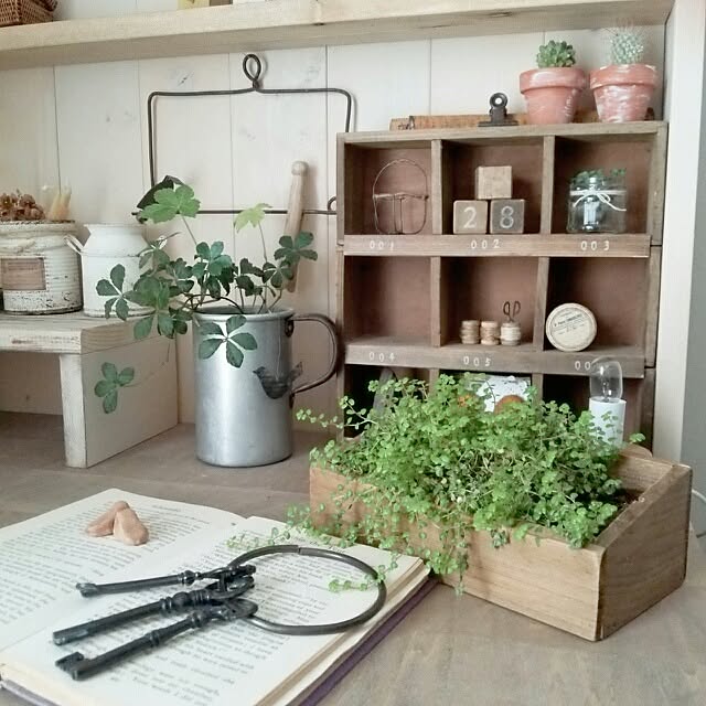 kokkomachaさんの実例写真