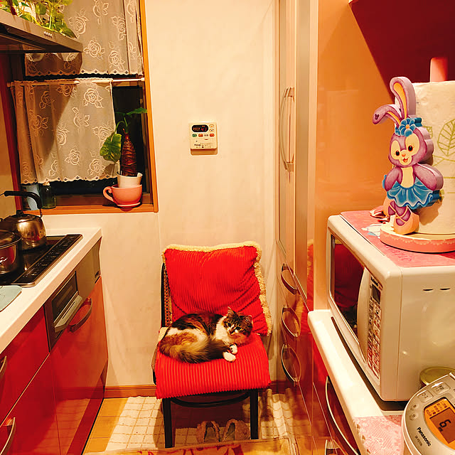 MASAさんの実例写真